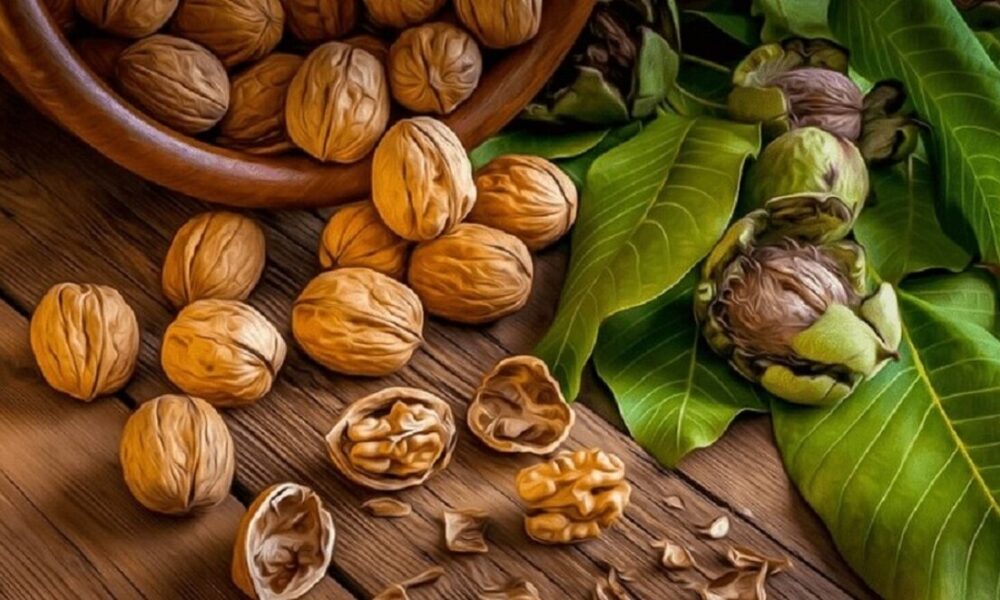 این خاصیت شگفت‌انگیز گردو را هیچ‌وقت نمی‌دانستید