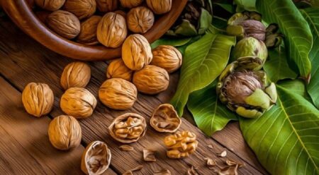 این خاصیت شگفت‌انگیز گردو را هیچ‌وقت نمی‌دانستید