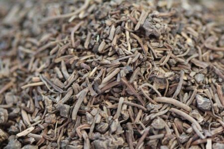 خواص شگفت‌انگیز این گیاه که از آن بی‌خبر هستید!