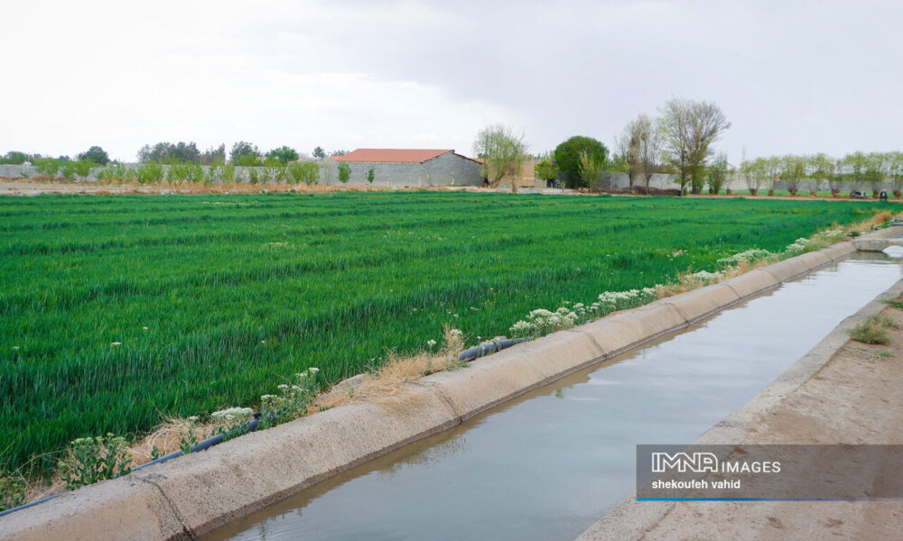 دیپلماسی کشاورزی در دولت چهاردهم جان تازه گرفت/ تحرک بین‌المللی در کشاورزی ایران