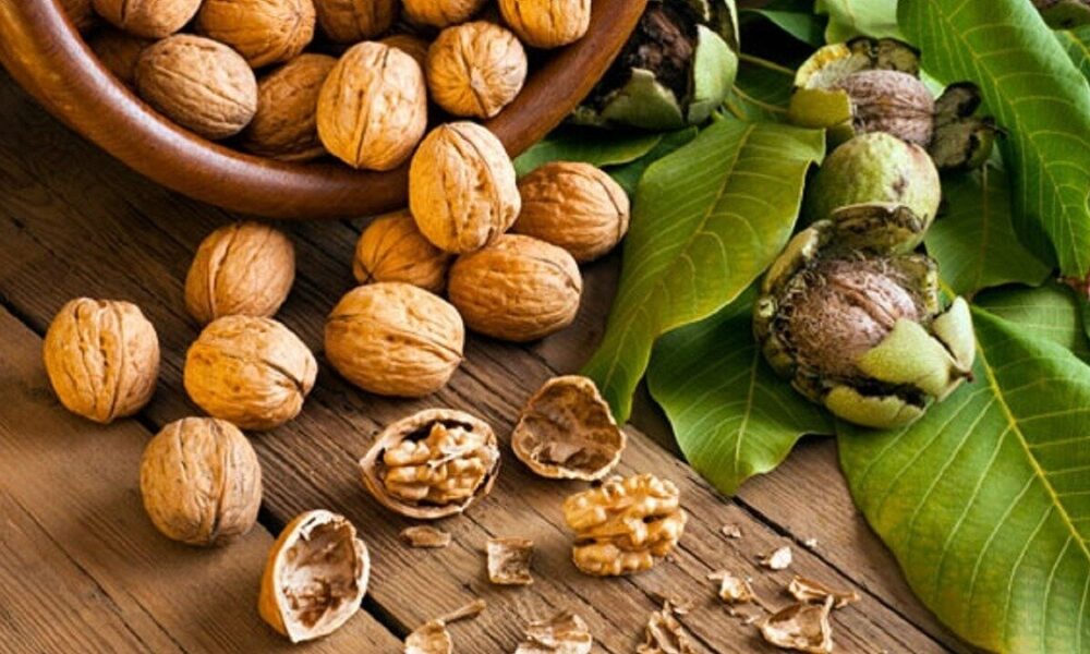 با مصرف گردو از این بیماری مرگبار جلوگیری کنید