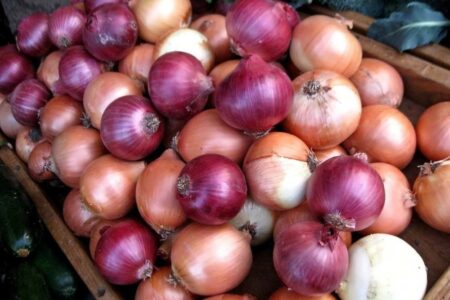 خرید تضمینی پیاز تا ۵ خرداد ادامه دارد
