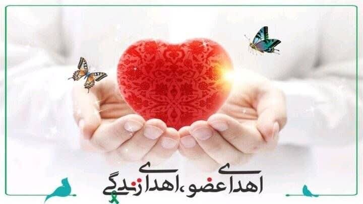 از اهدای اعضای بانوی اصفهانی تا قایقرانی از لندن تا جده برای حج