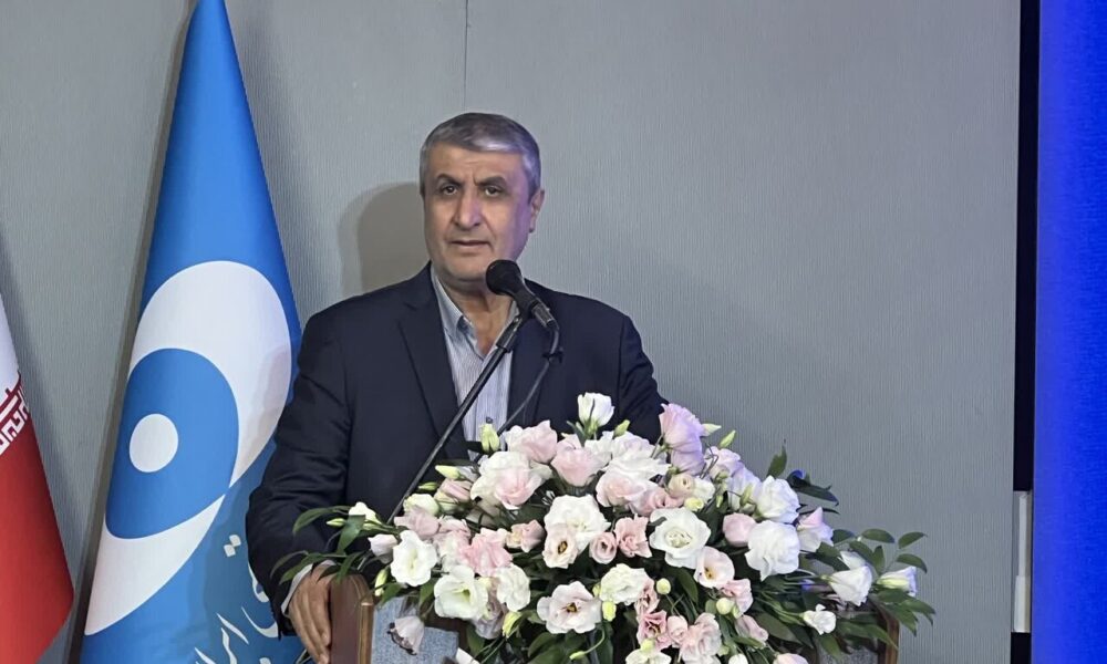 اسلامی: هیچ گزینه جایگزینی برای غنی‌سازی وجود ندارد