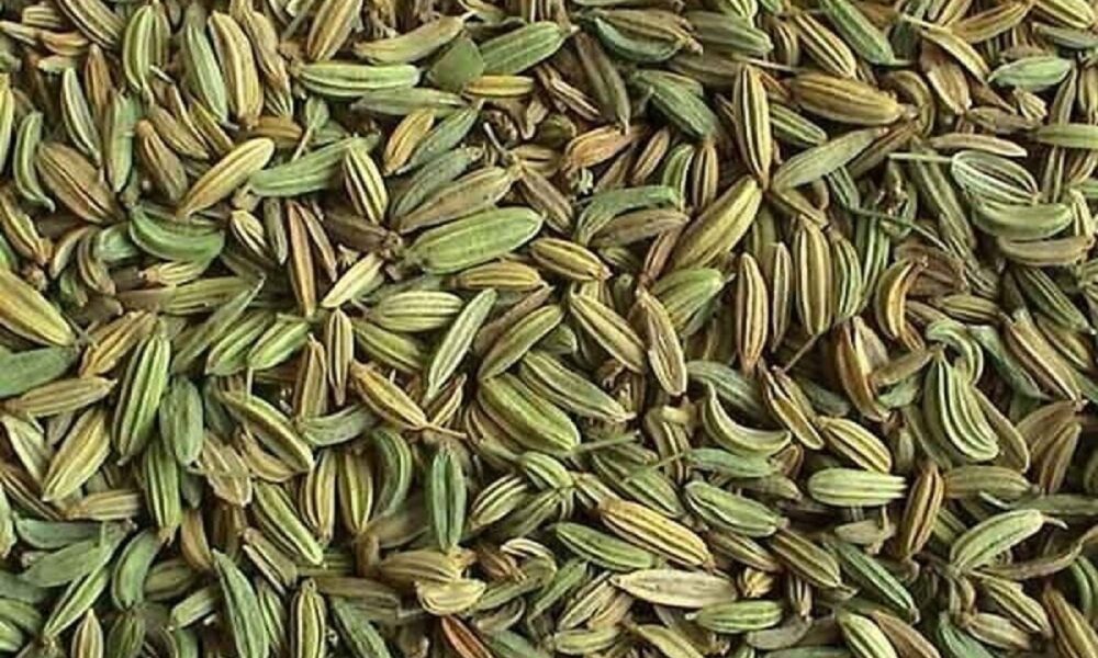 دانه‌ای شگفت‌انگیز که هم وزن کم می‌کند، هم سرطان را دور می‌کند