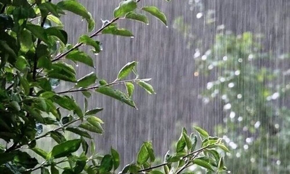 هواشناسی امروز ۱۴ خرداد ۱۴۰۴؛ هشدار نارنجی بارش باران و سیلاب صادر شد