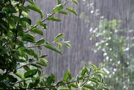 هواشناسی امروز ۱۴ خرداد ۱۴۰۴؛ هشدار نارنجی بارش باران و سیلاب صادر شد