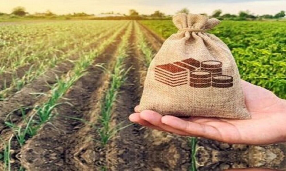 تقویت دیپلماسی مالی و بانکی؛ کلید توسعه پایدار کشاورزی کشور