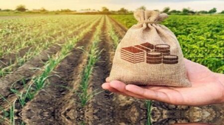 تقویت دیپلماسی مالی و بانکی؛ کلید توسعه پایدار کشاورزی کشور