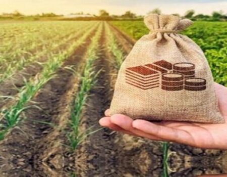 تقویت دیپلماسی مالی و بانکی؛ کلید توسعه پایدار کشاورزی کشور