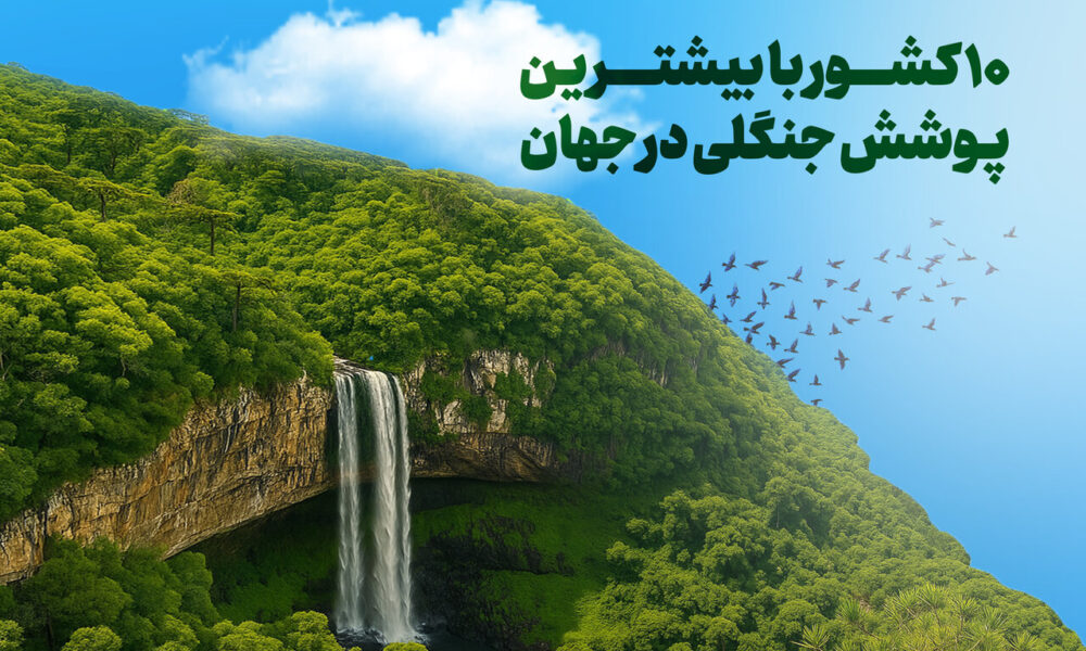 ۱۰ کشور با بیشترین پوشش جنگلی در جهان