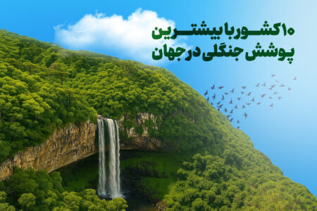۱۰ کشور با بیشترین پوشش جنگلی در جهان