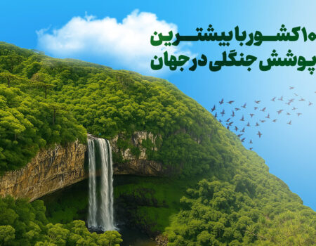 ۱۰ کشور با بیشترین پوشش جنگلی در جهان