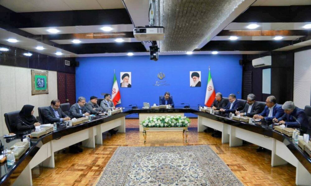 فروشگاه‌های زنجیره‌ای، بازوی اجرایی دولت در مدیریت بازار بحران