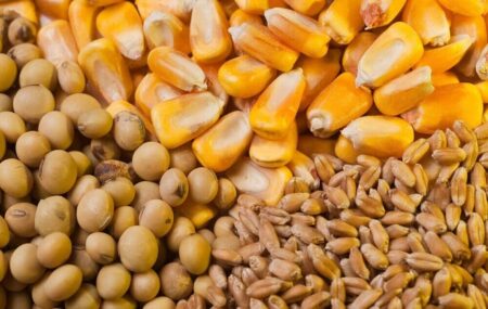 بازگشت ارز ترجیحی برای نهاده‌های دامی و برخی کالاهای اساسی