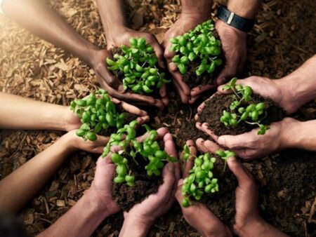 لزوم بهره‌گیری از ظرفیت‌های مرزی برای تقویت امنیت غذایی
