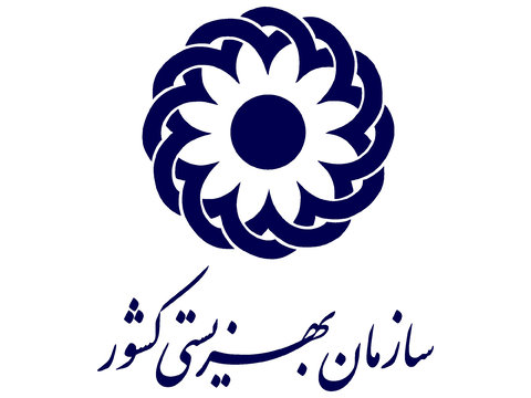 اجرای طرح جهانی «شهر دوستدار سالمند» در ۱۰ شهر کشور