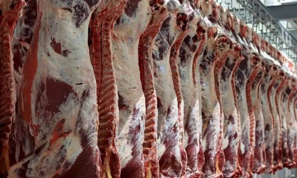 تکلیف قانونی برای خودکفایی ۹۰ درصدی در محصولات اساسی/ واردات گوشت قرمز برای تنظیم‌گری است