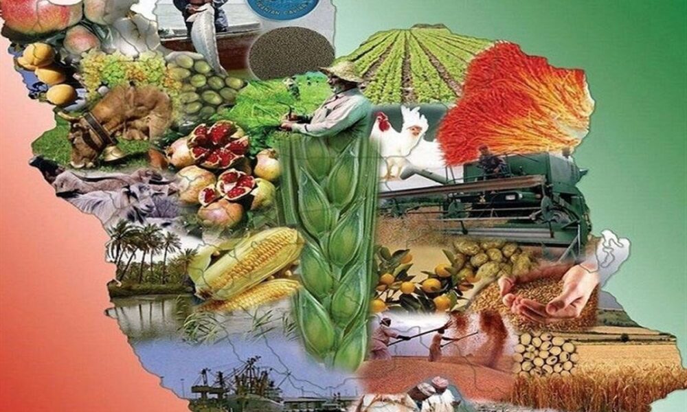 سربازان امنیت غذایی برای تأمین کالاهای اساسی در شرایط جنگی خوش درخشیدند