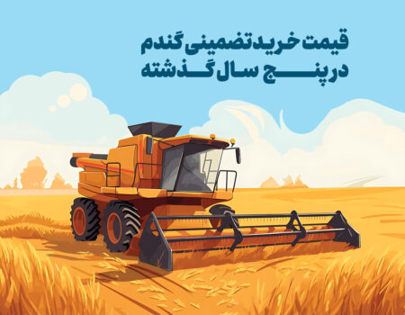 بررسی قیمت گندم در ۵ سال گذشته + آخرین نرخ سال ۱۴۰۴