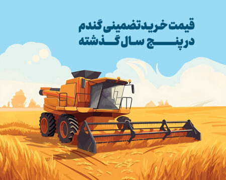 بررسی قیمت گندم در ۵ سال گذشته + آخرین نرخ سال ۱۴۰۴