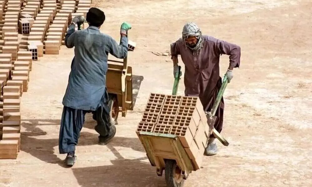 همه افغان‌ها را از ایران طرد نکنید