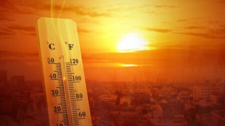 خود را برای شدیدترین گرمای تابستانی آماده کنید