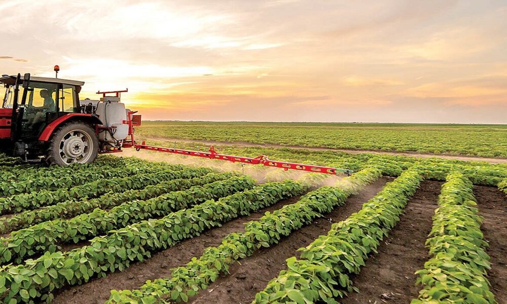 وزارت جهاد کشاورزی به دنبال شناسنامه‌دار کردن و ردیابی محصولات در برنامه هفتم