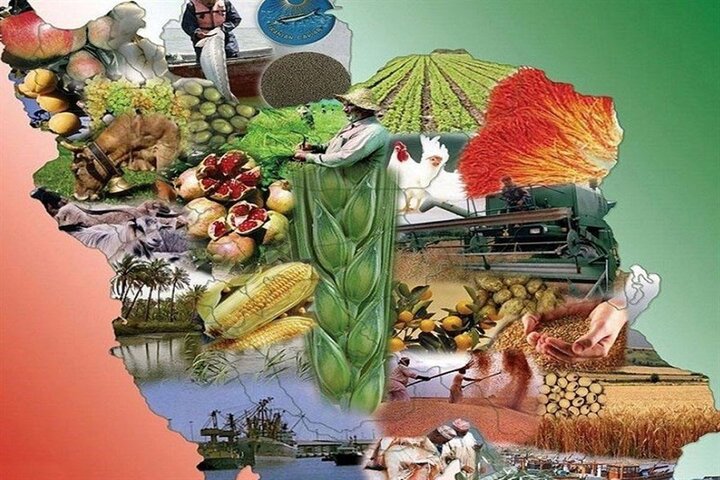 سربازان امنیت غذایی برای تأمین کالاهای اساسی در شرایط جنگی خوش درخشیدند