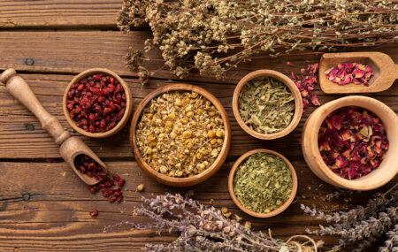 انتقاد رئیس مجمع نظام پزشکی از تلویزیون: شیادان ممنوع‌الکار را دعوت نکنید!