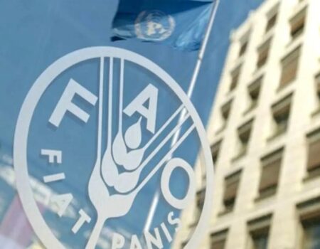 آمار باورنکردنی از گرسنگان جهان در سالی که گذشت!