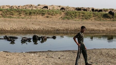 جزییات تازه از آخرین وضعیت آتش‌سوزی در تالاب هورالعظیم