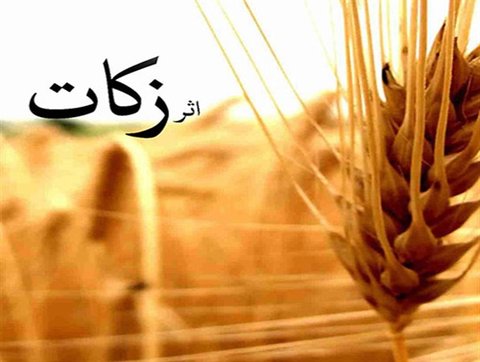 ۹۱ درصد زکات در حوزه محرومان و معیشت آنان مصرف می‌شود