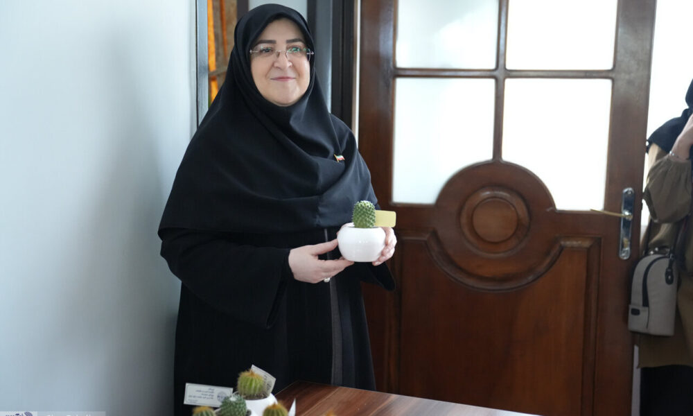 هدیه زشت سخنگوی دولت به خبرنگاران! +عکس