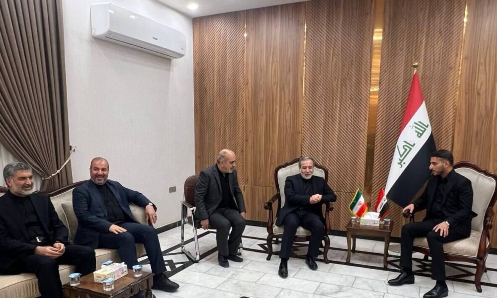عراقچی وارد نجف اشرف شد