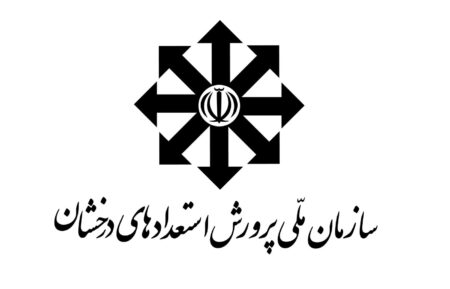مدارس سمپاد یا تیزهوشان؛ تربیت مناسب برای دانش‌آموزان مستعد چیست؟