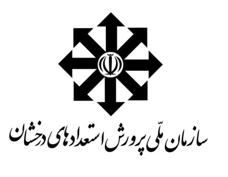 مدارس سمپاد یا تیزهوشان؛ تربیت مناسب برای دانش‌آموزان مستعد چیست؟