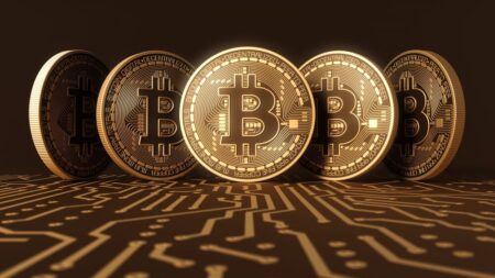 بیت‌ کوین زیر ۱۱۳ هزار دلار؛ سرمایه‌گذاران کوتاه‌مدت و بلندمدت چگونه واکنش نشان داده‌اند؟