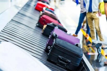 نزدیک به ۷۰۰ جانور از چمدان یک مسافر در فرودگاه امام خمینی کشف شد!