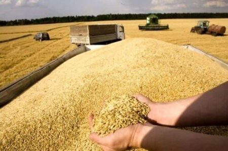 تامین نیاز مصرفی گندم کشور تا پایان سال / شرایط استثنایی در موجودی کالاهای اساسی داریم