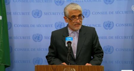 ایروانی: ایران هرگز تحت تهدید یا اجبار مذاکره نخواهد کرد