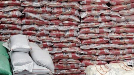 واردات ۱۵۰ هزار تن برنج برای تنظیم بازار