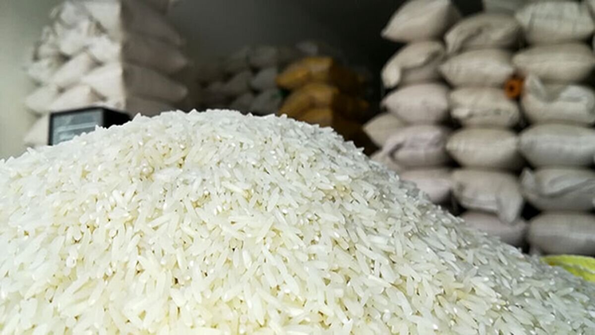 پرداخت مطالبات گندم‌کاران حیاتی است/ رشد بخش کشاورزی به ۳.۲ درصد رسید