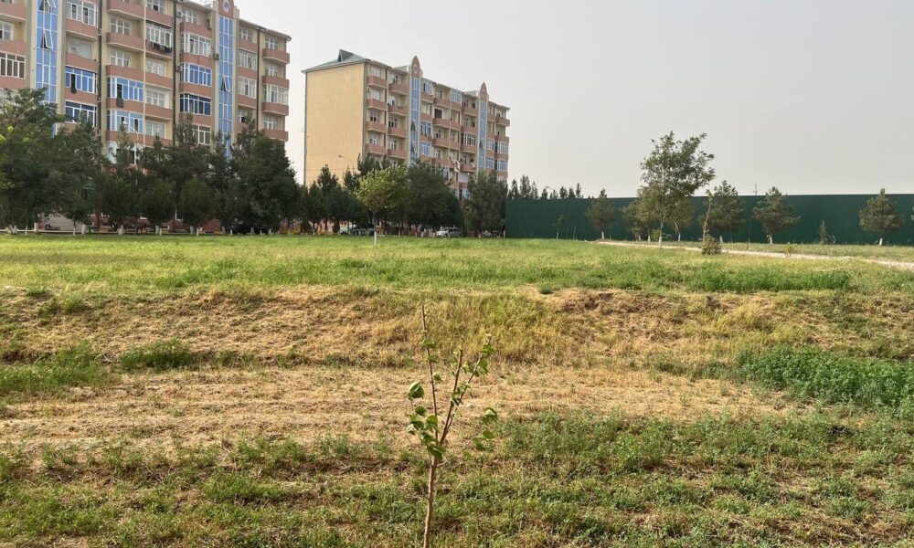 عجایب یک جام؛ فوتبال در حوالی چراگاه، سایه «بچه‌مدرسه‌ای»ها بر سر کافا! +تصاویر
