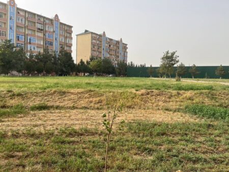 عجایب یک جام؛ فوتبال در حوالی چراگاه، سایه «بچه‌مدرسه‌ای»ها بر سر کافا! +تصاویر