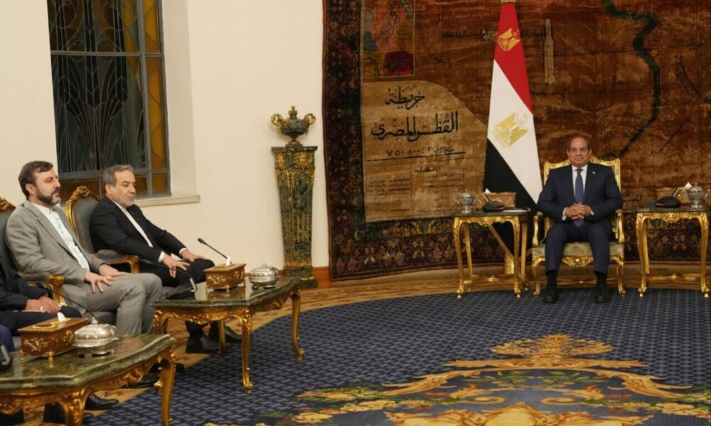 عراقچی با رئیس‌جمهور مصر دیدار کرد