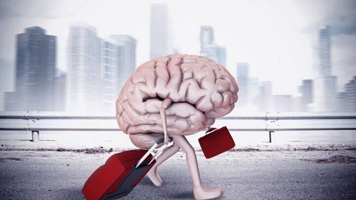 TOP؛ تیر خلاص بر فرار مغزها