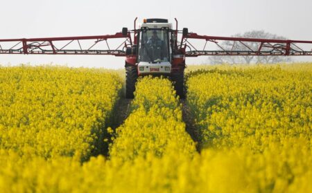 ۹۷ درصد مطالبات کلزاکاران پرداخت شد/ پیش بینی تولید ۴۰ هزار تن دانه سویا