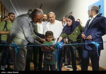 کاریکاتور , رسانه ,