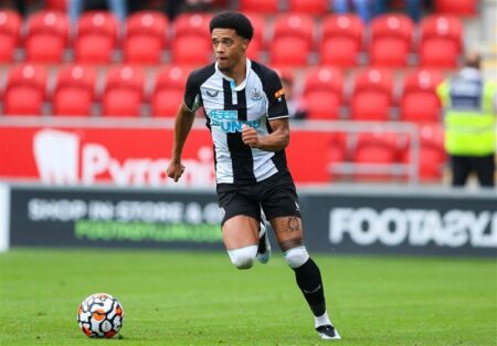 آخرین خبر از حضور مدافع سابق نیوکاسل در پرسپولیس